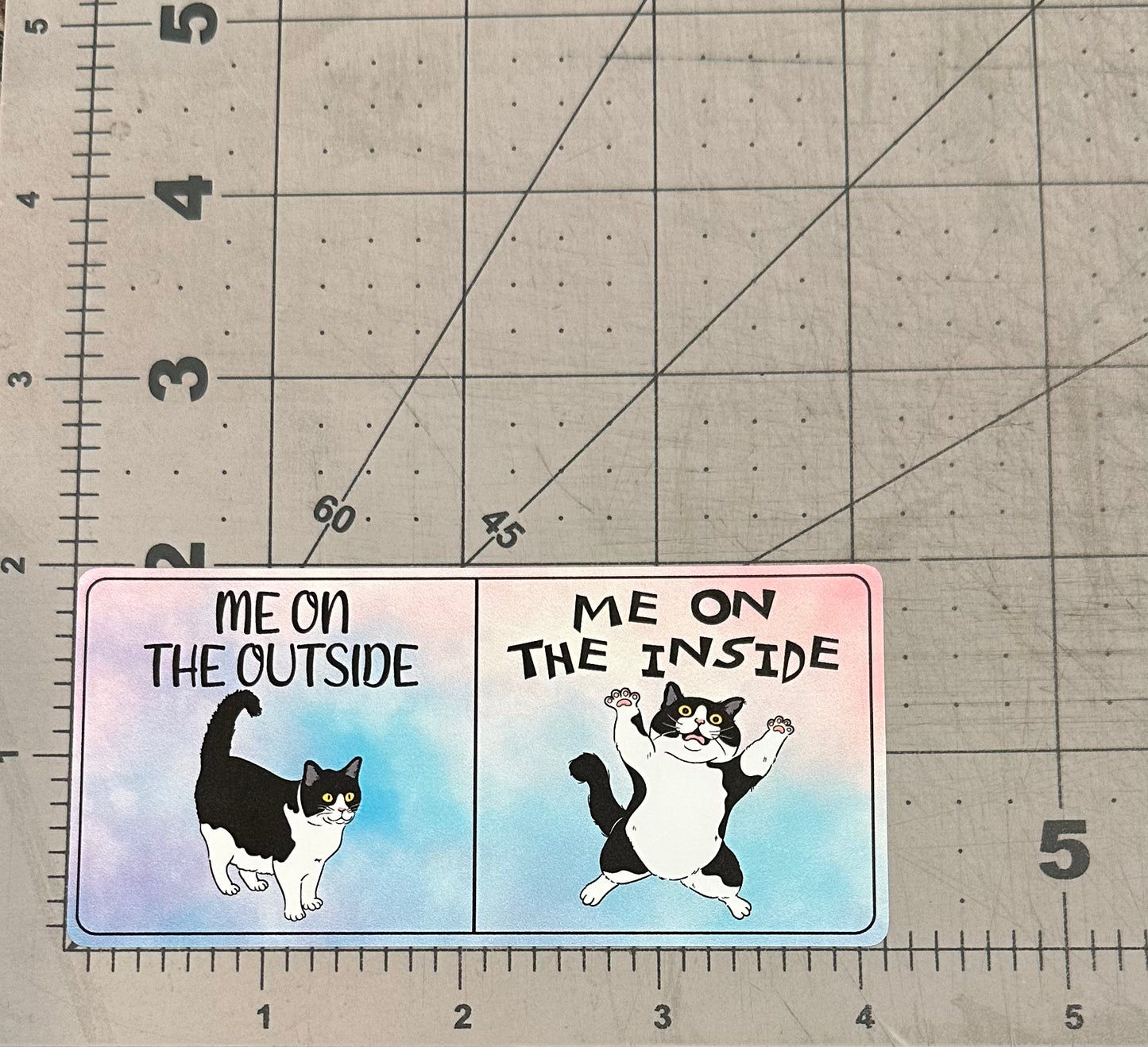 "Outside Cat vs. Inside Cat" - Repositionable Vinyl Decal (Sticker)