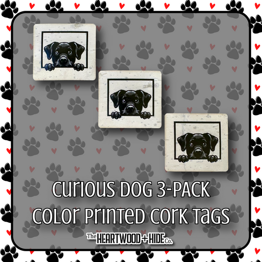 "Curious Dog" 3-Pack - Color Printed Cork Tags