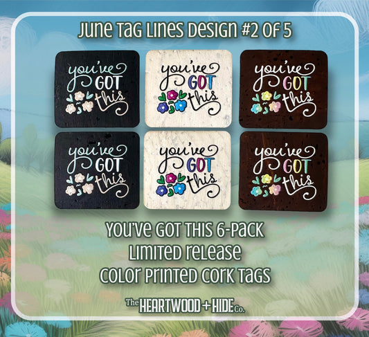 "You've Got This" 6-Pack - LIMITED RELEASE Color Printed Cork Tags [TL JUNE 2 of 5]