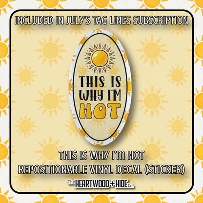 "This Is Why I'm Hot" - Repositionable Vinyl Decal (Sticker) [TL '25 July]