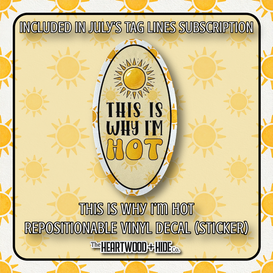 "This Is Why I'm Hot" - Repositionable Vinyl Decal (Sticker) [TL '25 July]