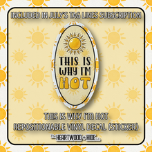 Load image into Gallery viewer, &quot;This Is Why I&#39;m Hot&quot; - Repositionable Vinyl Decal (Sticker) [TL &#39;25 July]
