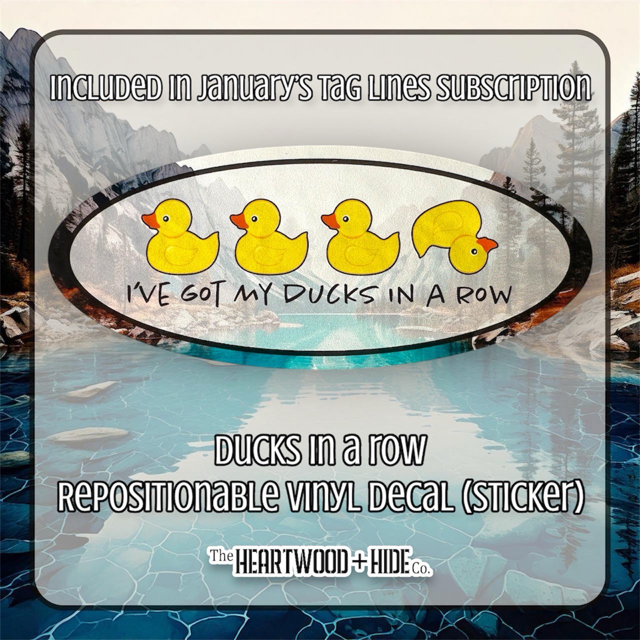 "Ducks In A Row" - Repositionable Vinyl Decal (Sticker) [TL January]